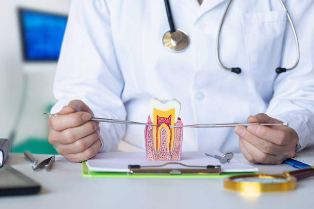 Best After-Hours Dental Trauma Care in Gold Canyon, AZ